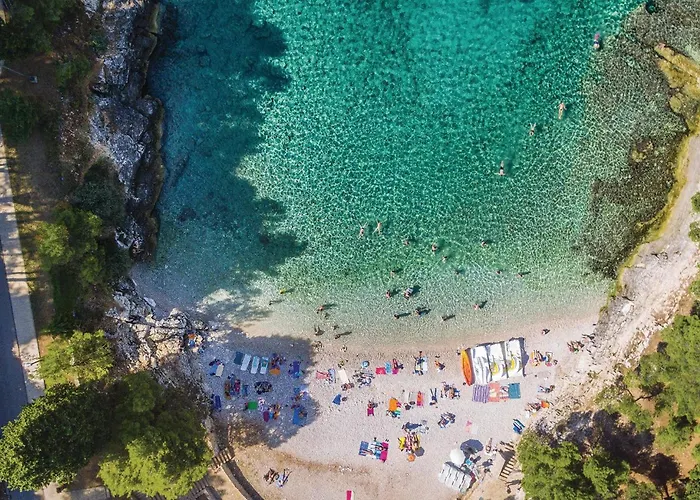 Amazing In With Sauna