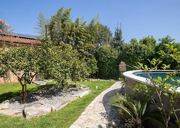 Ferienhaus Amazing In With Sauna *